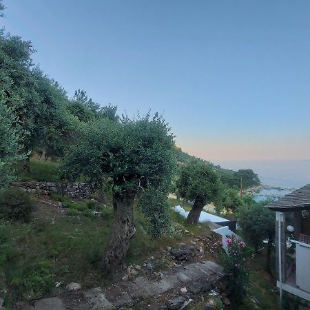Dionysos Hotel سكالا بوتامياس المظهر الخارجي الصورة